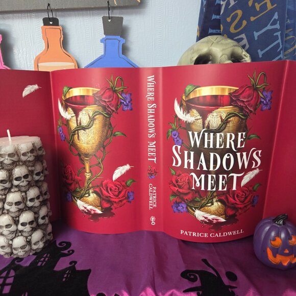 Where Shadows Meet by Patrice Caldwell Fairyloot March 2025 Eternal Embrace - Picture 8 of 8